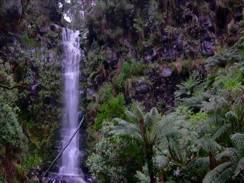 Great Ocean Road Resort - Schoolies Week Accommodation 16