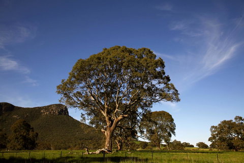 Dunkeld Studio Accommodation - Schoolies Week Accommodation 23