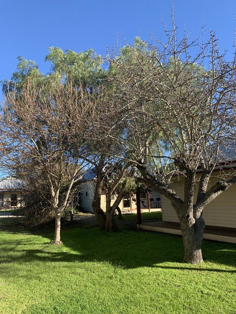 Dunkeld Studio Accommodation - Schoolies Week Accommodation 4