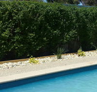 Robinvale Bridge Motel - Schoolies Week Accommodation