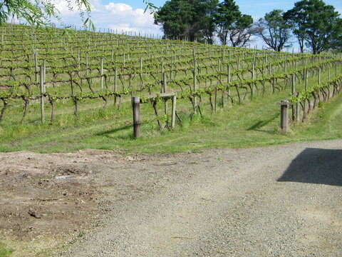 De\'Vine Escape - Schoolies Week Accommodation 23
