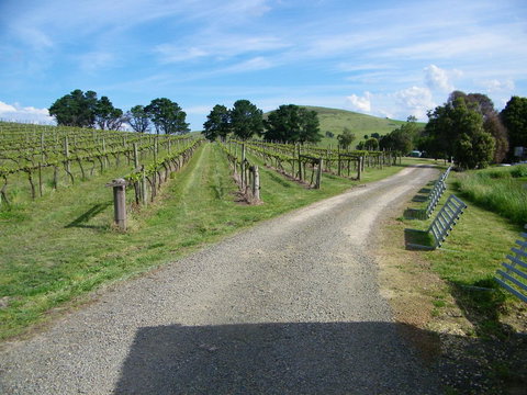 De\'Vine Escape - Schoolies Week Accommodation 24