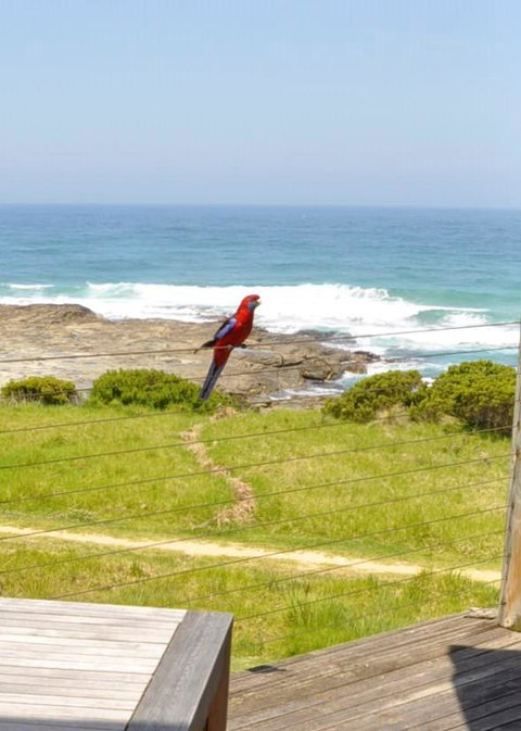 14 Steps - Schoolies Week Accommodation 15