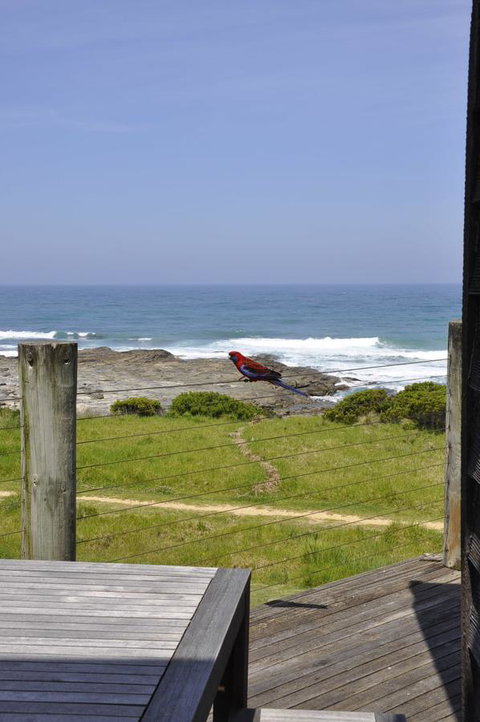 14 Steps - Schoolies Week Accommodation 14