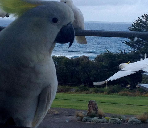 Apollos View Accommodation - Schoolies Week Accommodation 21