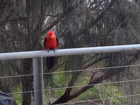 Apollos View Accommodation - Schoolies Week Accommodation 23