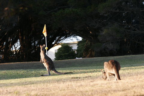 Lakeside At Mallacoota - Schoolies Week Accommodation 37