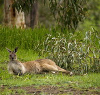 The Stirling Golf Club - Schoolies Week Accommodation