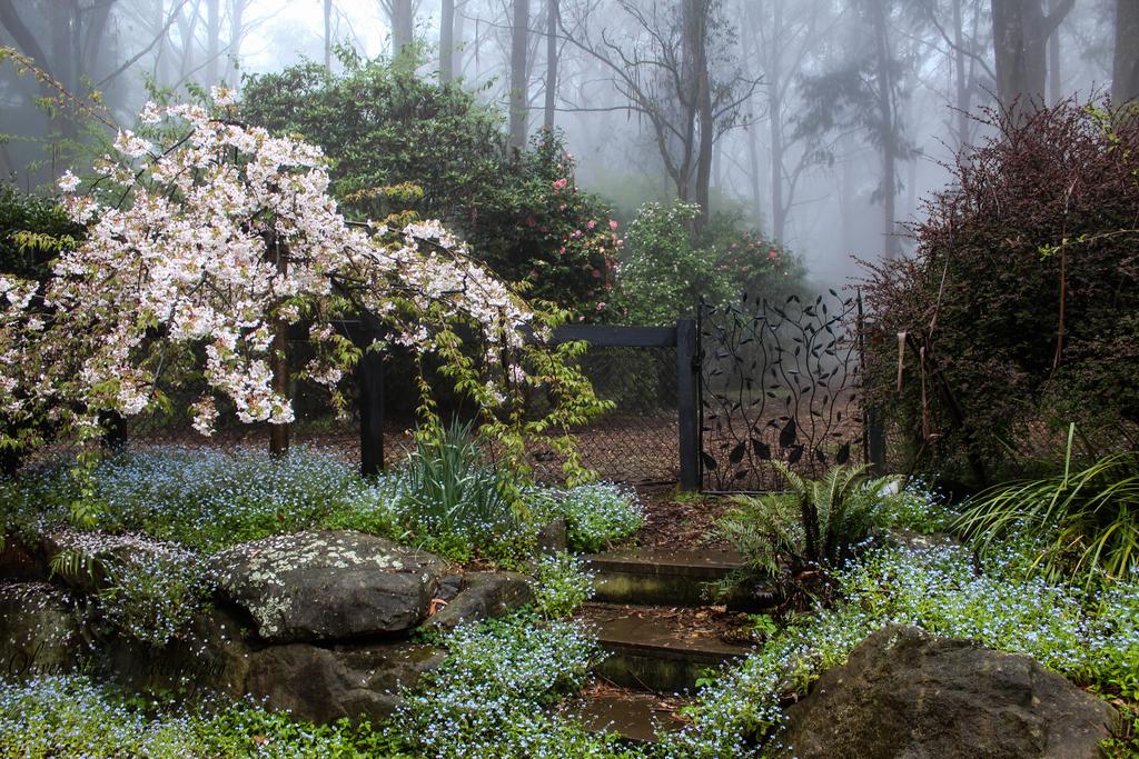 Mount Tomah NSW Schoolies Week Accommodation