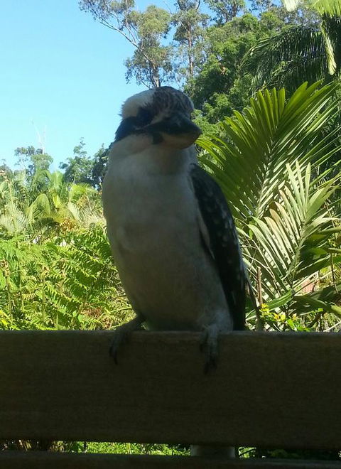Tropic Oasis - Schoolies Week Accommodation 3