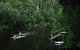 WA Wilderness Glamping - thumb 2