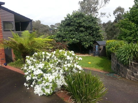 Warrandyte Retreat Guest House - Schoolies Week Accommodation 0
