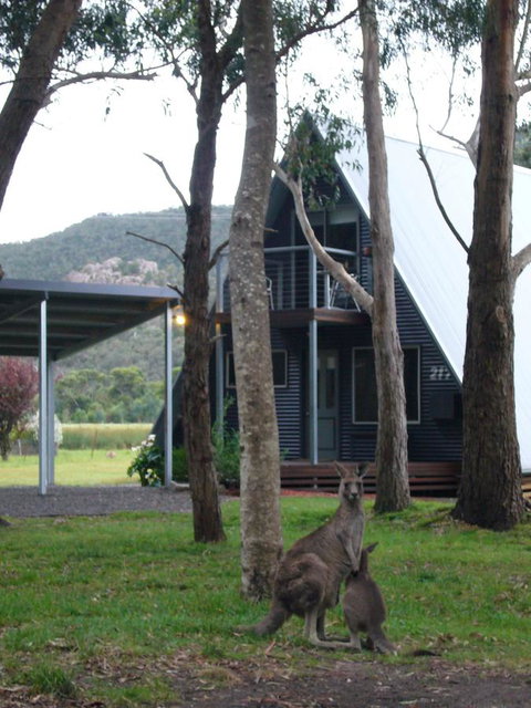 The A-Frame - Schoolies Week Accommodation 1