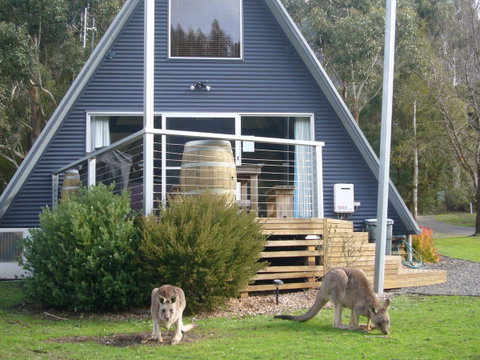 The A-Frame - Schoolies Week Accommodation 10