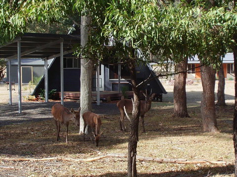 The A-Frame - Schoolies Week Accommodation 13