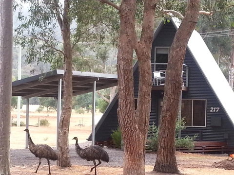 The A-Frame - Schoolies Week Accommodation 9