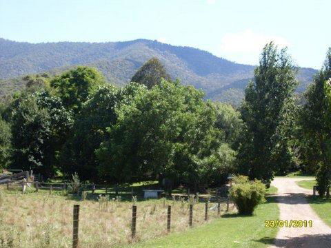 Aspens Springs Farmstay - Schoolies Week Accommodation 30