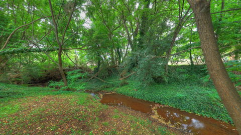 Aspens Springs Farmstay - Schoolies Week Accommodation 21