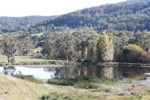 Aspens Springs Farmstay - Schoolies Week Accommodation 29