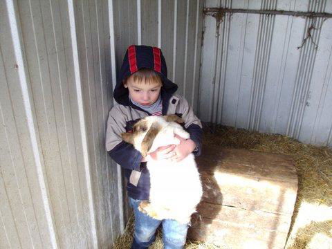 Aspens Springs Farmstay - Schoolies Week Accommodation 28