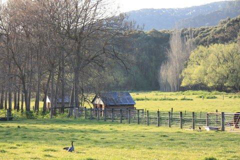 Aspens Springs Farmstay - Schoolies Week Accommodation 25