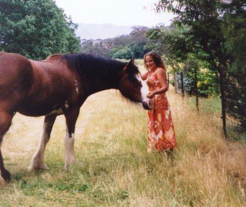 Aspens Springs Farmstay - Schoolies Week Accommodation 31