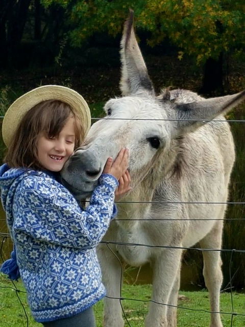 Aspens Springs Farmstay - Schoolies Week Accommodation 32