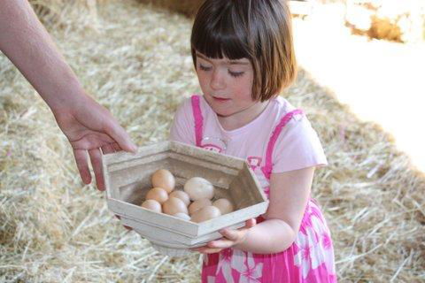 Aspens Springs Farmstay - Schoolies Week Accommodation 27