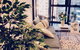Southbank CityView 2BR Apartment On Clarendon - thumb 32
