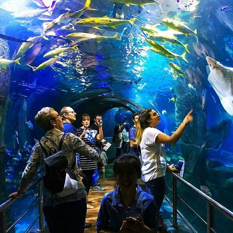 South Wharf Melbourne - Schoolies Week Accommodation 18