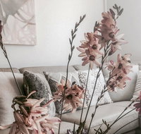Bed of Roses - Schoolies Week Accommodation