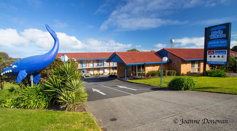 Blue Whale Motor Inn & Apartments - Schoolies Week Accommodation 0