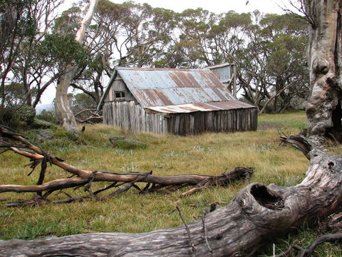Allamar Motel - Schoolies Week Accommodation 42