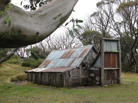 Allamar Motel - Schoolies Week Accommodation 44