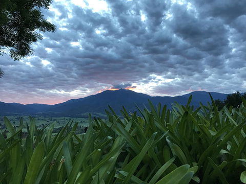 Allamar Motel - Schoolies Week Accommodation 4