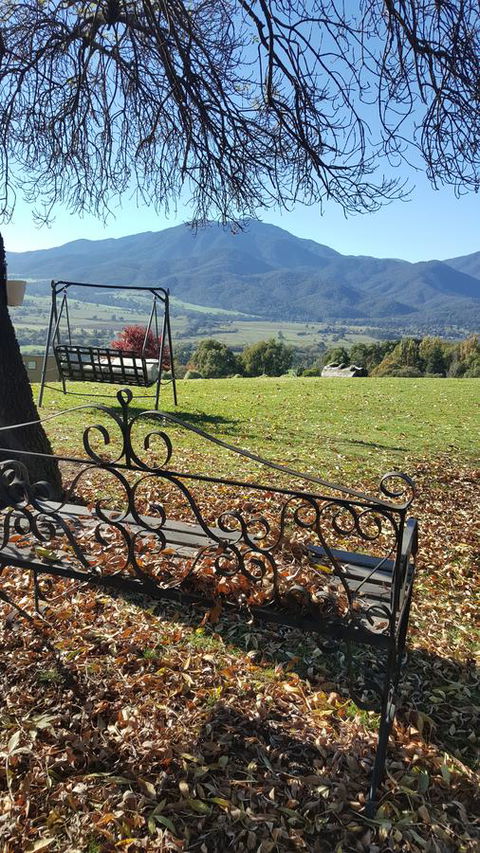 Allamar Motel - Schoolies Week Accommodation 13