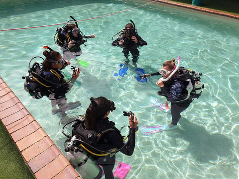 Backpackers In Paradise 18-35 Hostel - Schoolies Week Accommodation 18