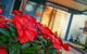 Blue Summit Hideaway - thumb 1