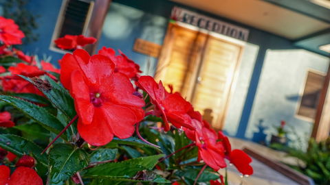 Blue Summit Hideaway - Schoolies Week Accommodation 1