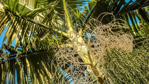 Blue Summit Hideaway - Schoolies Week Accommodation 20