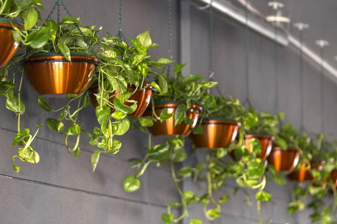 Hotel Grand Chancellor Brisbane - Schoolies Week Accommodation 13