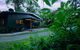 Misty Mountains Rainforest Retreat - thumb 7