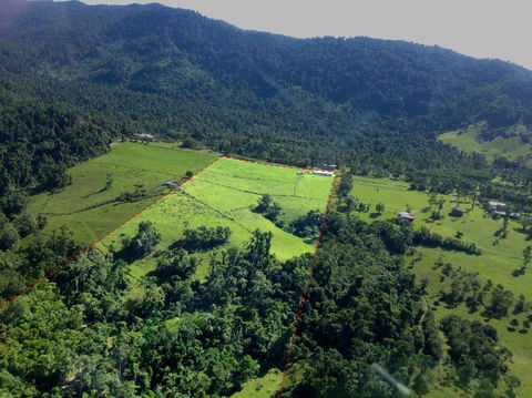 Misty Mountains Rainforest Retreat - Schoolies Week Accommodation 33