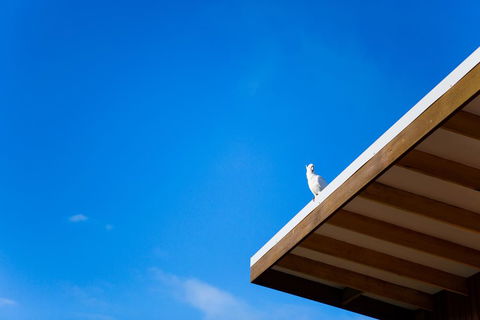 Wye Not Escape - Schoolies Week Accommodation 0