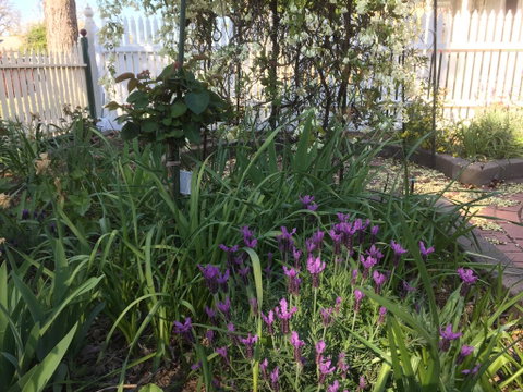 Yapera On Lucan - Schoolies Week Accommodation 2