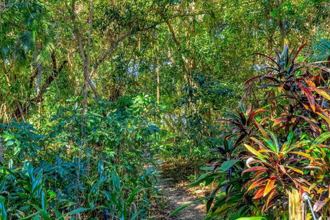 Absolute Beachfront, Heart Of Port Douglas - 24 S - Schoolies Week Accommodation 3