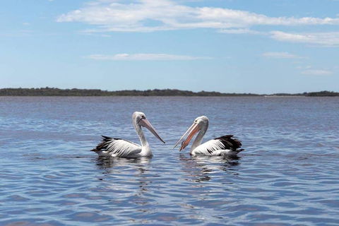 Amazing Ansons Bay Remote Paradise For The Family In The Bay Of Fires Area - Schoolies Week Accommodation 2