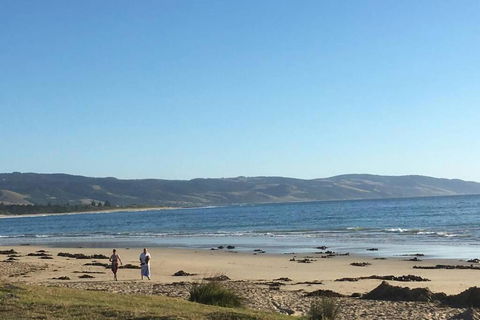 Apollo Blue Oceanview Unit 1- B Free WIFI - Schoolies Week Accommodation 0