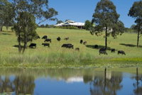 Book Nabiac Accommodation Vacations Schoolies Week Accommodation Schoolies Week Accommodation