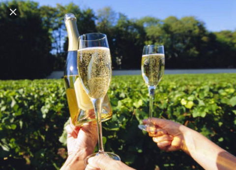 D104 Winston Fresh Fantastic - Schoolies Week Accommodation 4